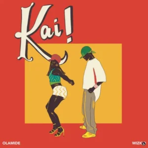 Kai Album Cover