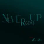 Never Give Up Cover
