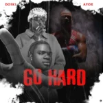 Go Hard Cover Art