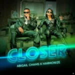 Closer Cover