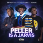 Peller is a Jarvis Album Cover