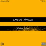 Mo Je Dodo Album Cover