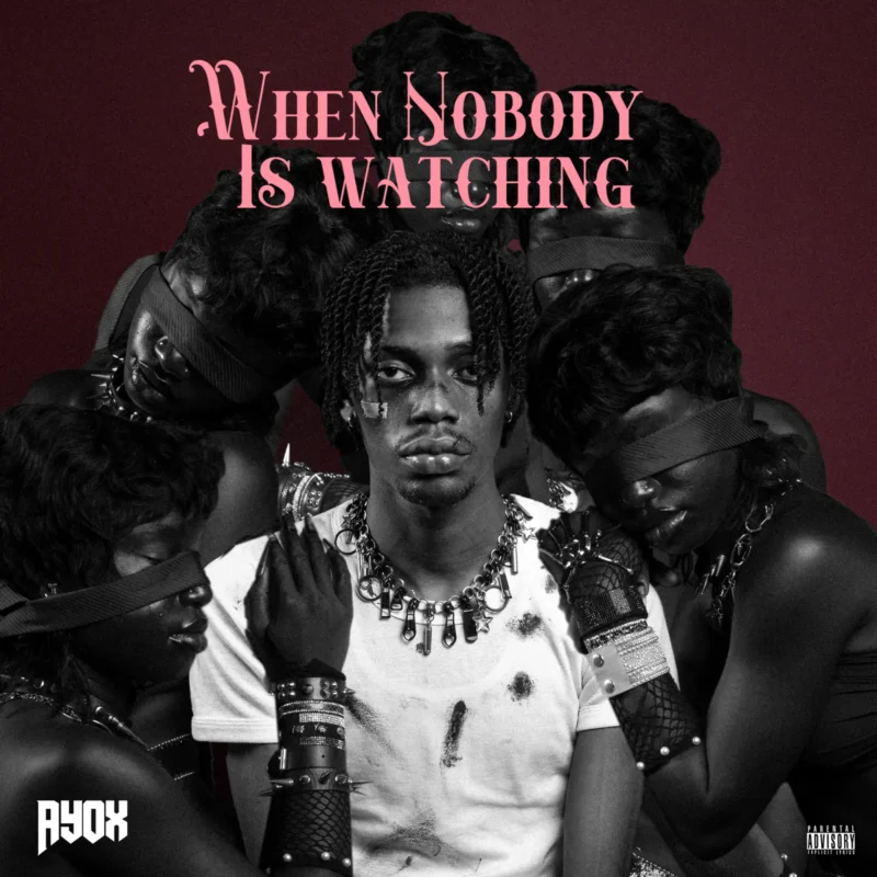 Cover of album 'When Nobody is Watching EP'
