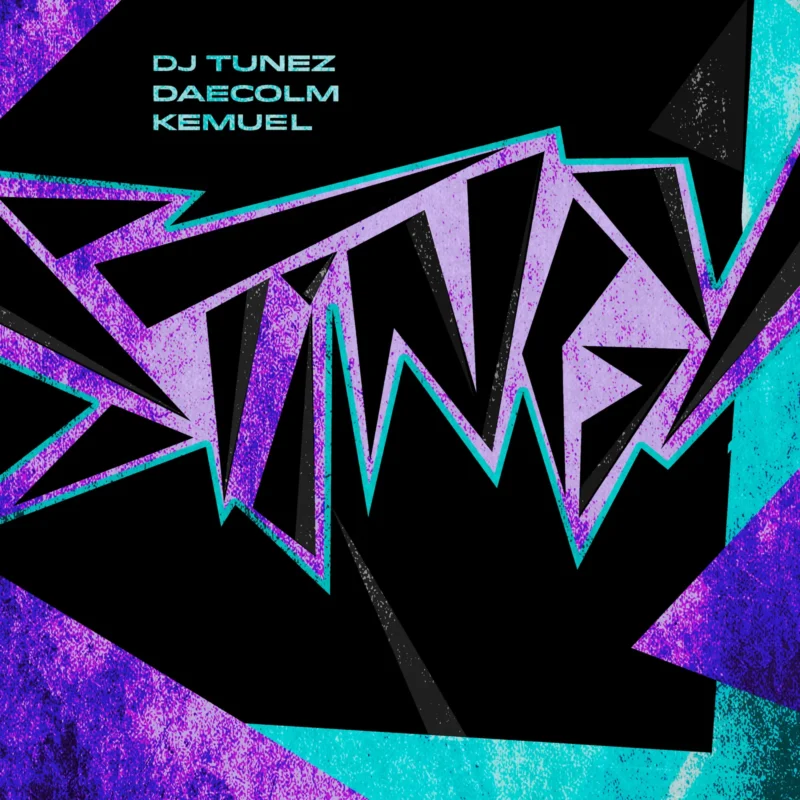 STINGY by DJ Tunez cover art