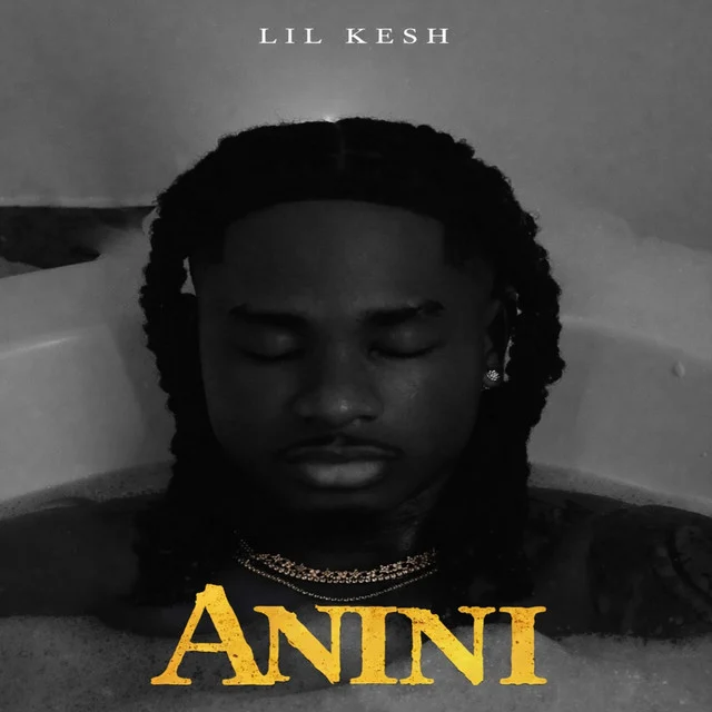 Anini (Thief) by Lil Kesh cover art