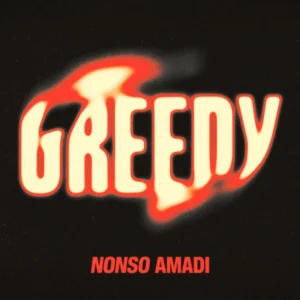 Artist Nonso Amadi