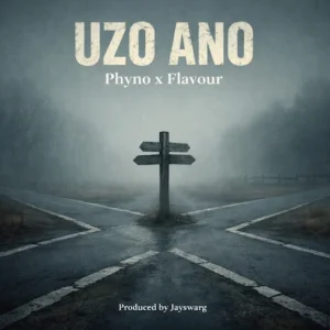 Artist Phyno