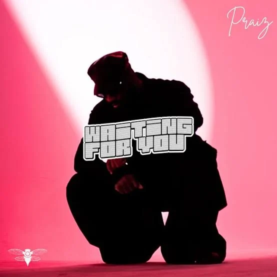 Waiting For You by Praiz cover art