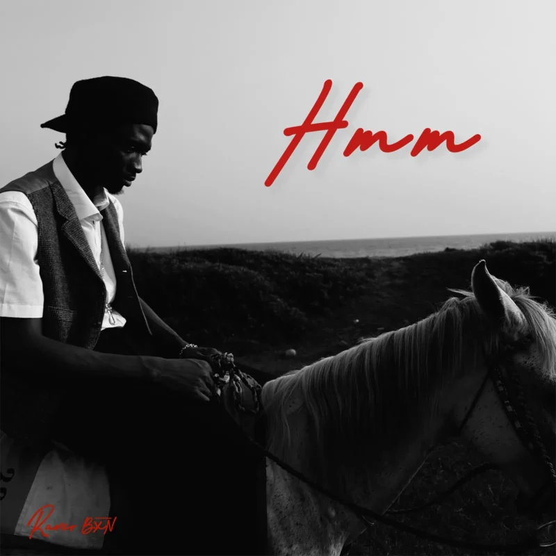 Hmm by Raver BXN cover art
