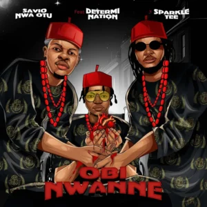 Obi Nwanne Album Cover
