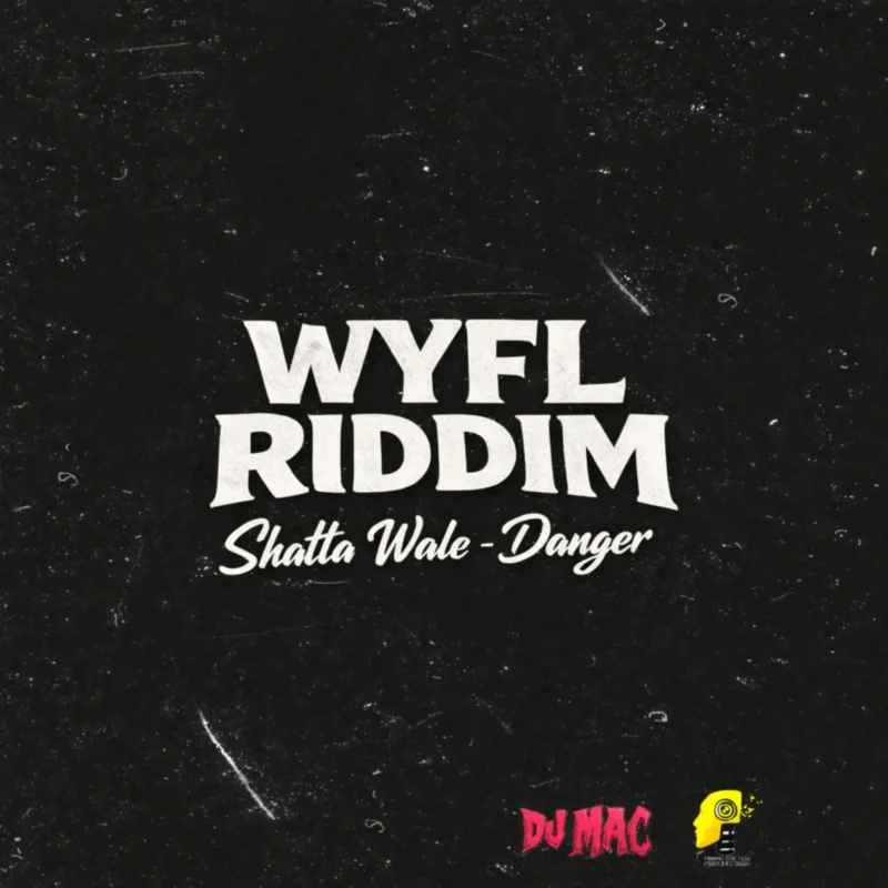 Danger by Shatta Wale cover art