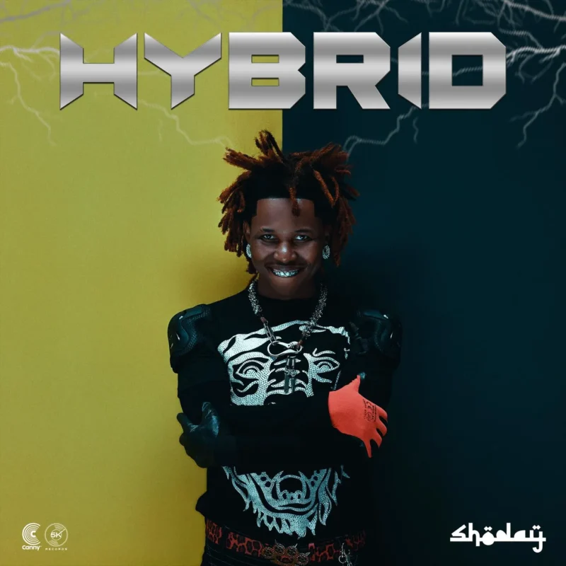 Cover of album 'HYBRID' by Shoday