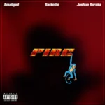 Fire Cover Art