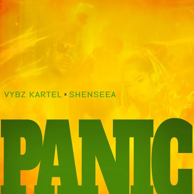 Panic by Vybz Kartel cover art