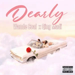 Artist Wande Coal