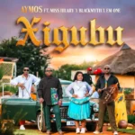 Xigubu Album Cover