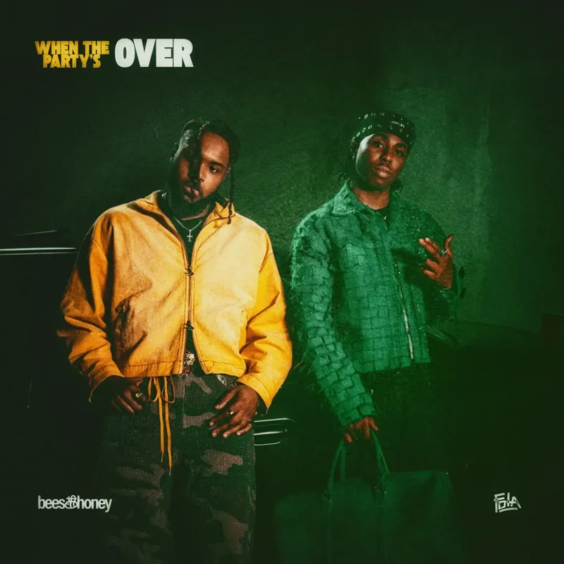 When the Party's Over by bees, honey cover art