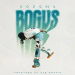 Bogus Cover