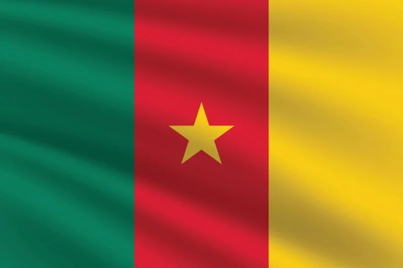 Cameroonian