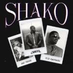 Shako Cover