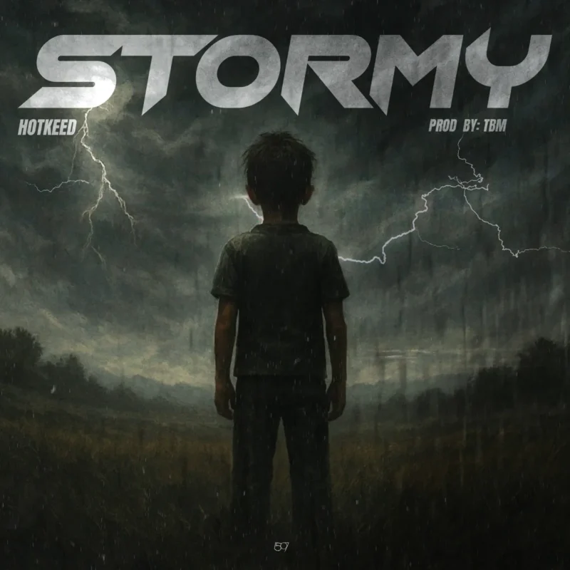 Stormy by Hotkeed cover art