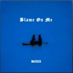 Blame on Me Cover