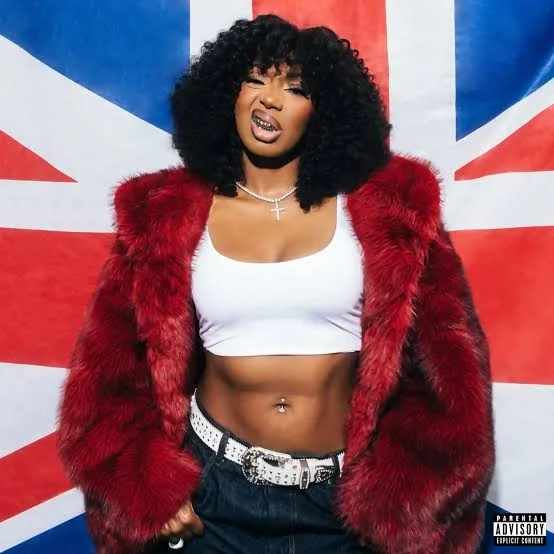 IDK by Ms Banks cover art