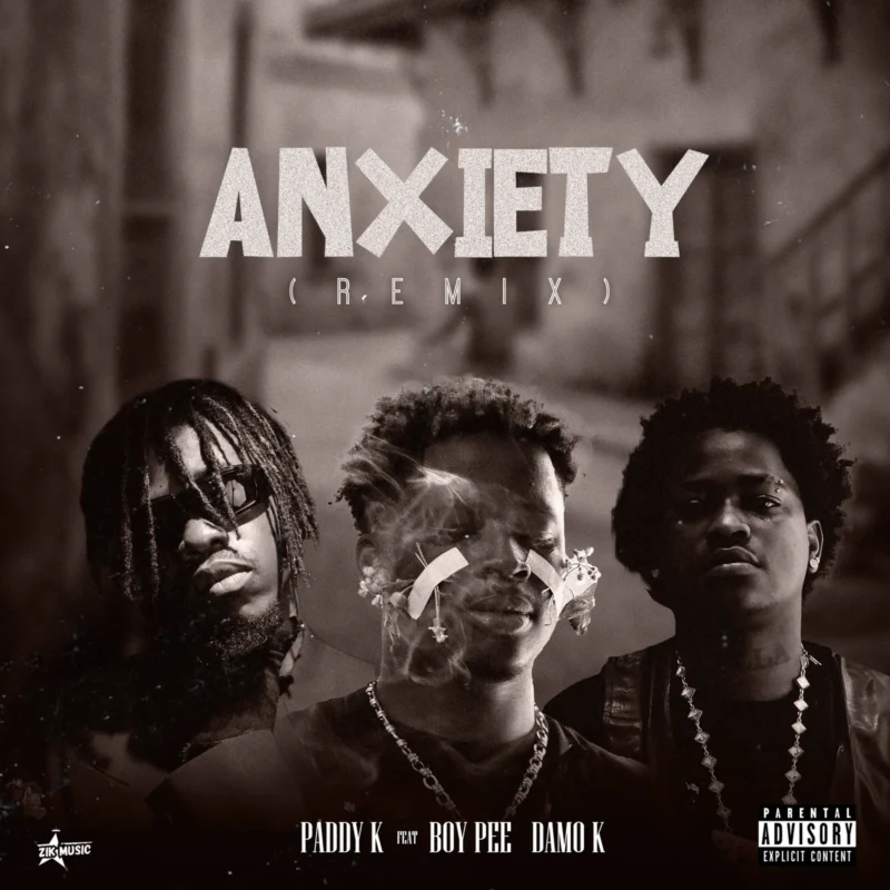 Anxiety (Remix) by Paddy K cover art