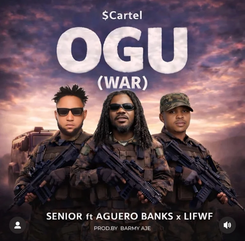 Ogu (War) by Senior Maintain cover art