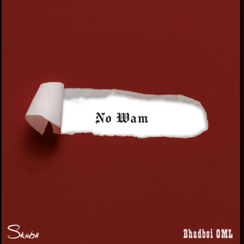 No Wam by Skiibii cover art