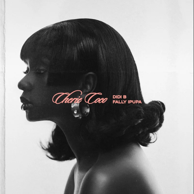 Cherie Coco by Didi B cover art