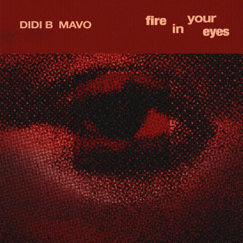 Fire in your Eyes by Didi B cover art