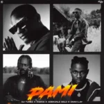 PAMI Cover Art