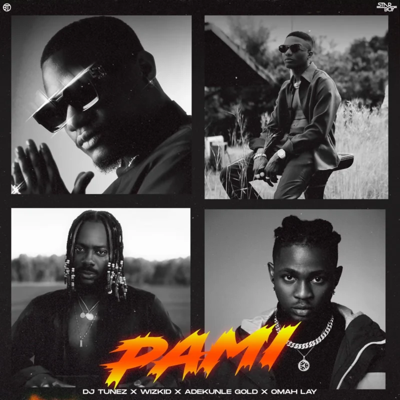 PAMI by DJ Tunez cover art