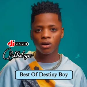 Best of Destiny Boy Album Cover