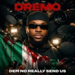 Dem No Really Send Us Album Cover