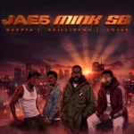 MINK SB Cover Art