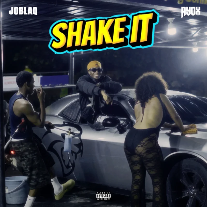Shake It by JoBlaq cover art