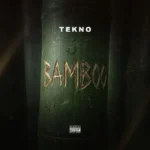Bamboo Album Cover