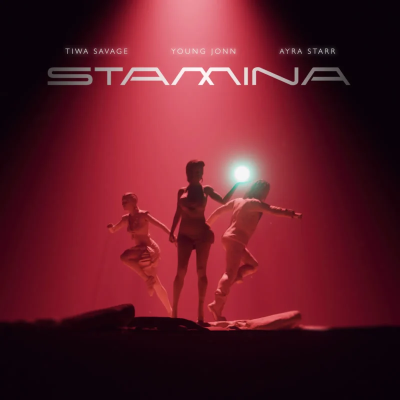 Stamina by Tiwa Savage cover art