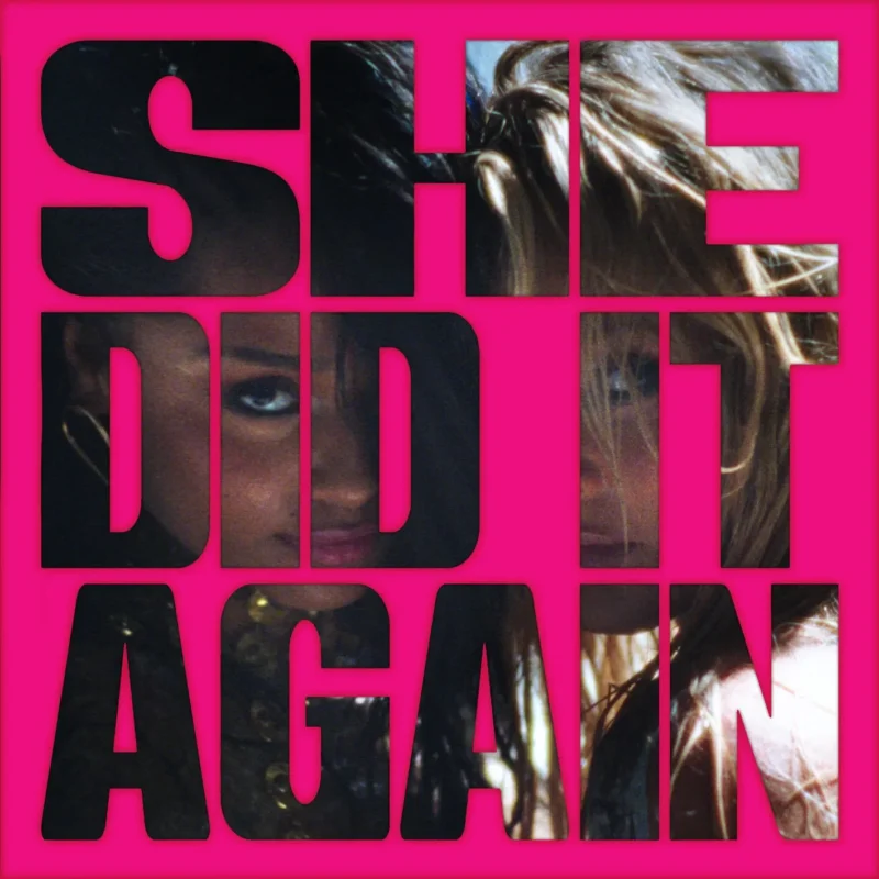 SHE DID IT AGAIN by Tyla cover art
