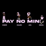 Pay No Mind Cover Art
