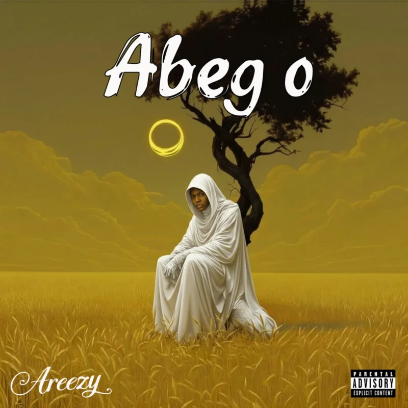 Abeg o by Areezy cover art