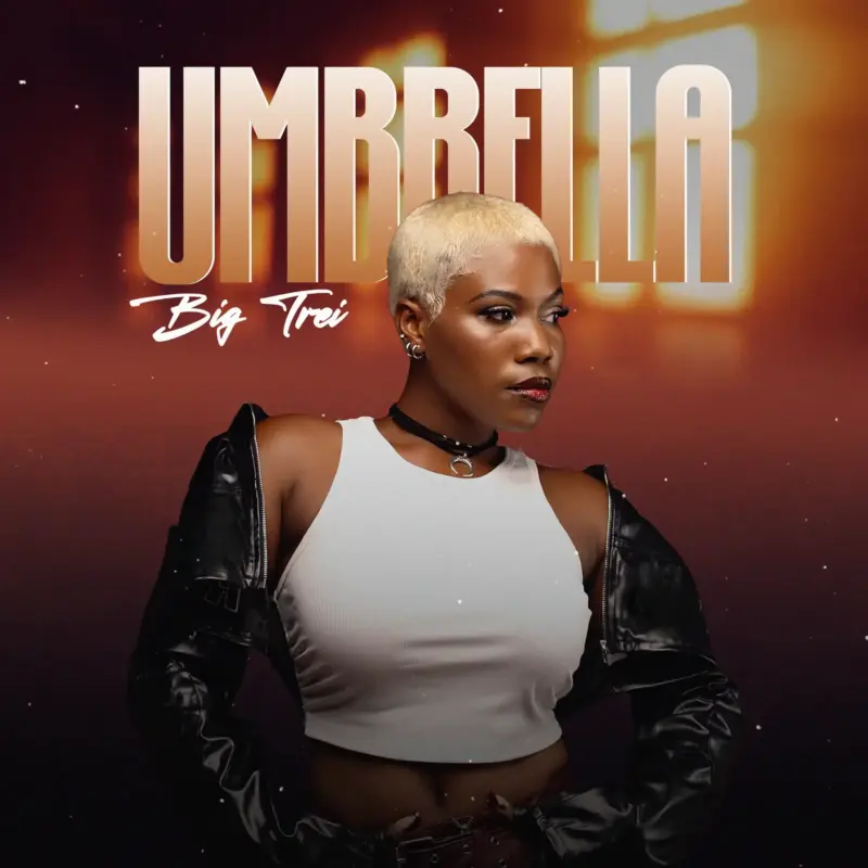 Umbrella by Big Trei cover art
