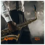 Starry Nights Cover Art