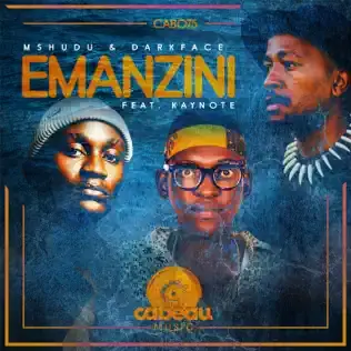 Emanzini by Mshudu cover art