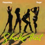 Shake That Cover
