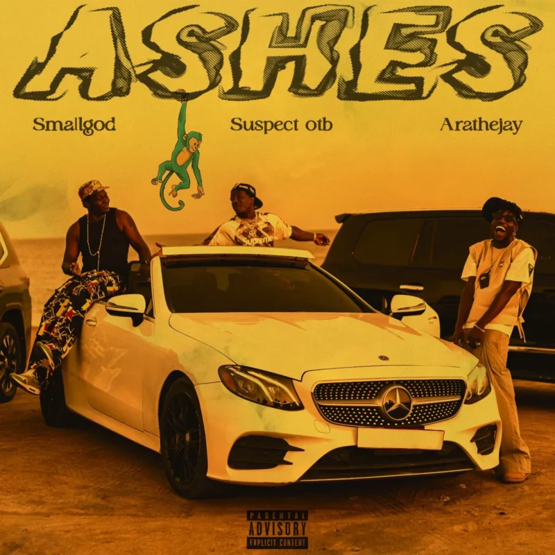 Ashes by Smallgod cover art