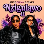 Nzigulawo II Cover Art