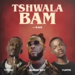 Tshwala Bam (Remix) Cover